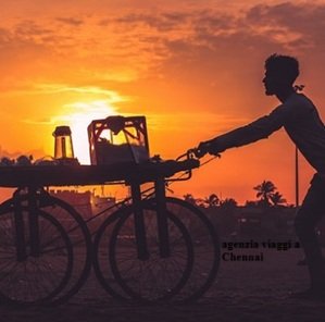 Agenzia-di-viaggi-a-Chennai-Bella-India-Tours-702