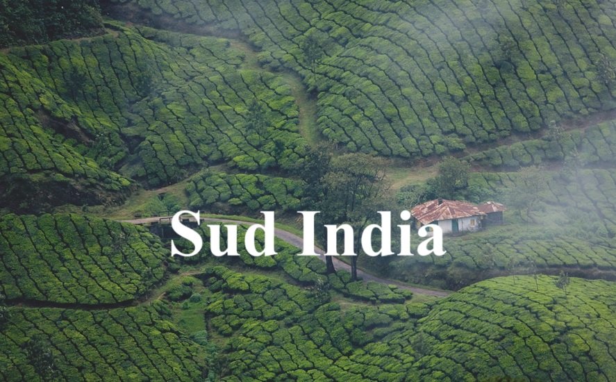 Il-nord-e-sud-del-India-23