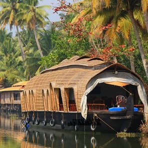 Viaggio-del-sud-del-India-54