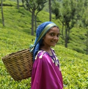 Viaggio-del-sud-del-India-56