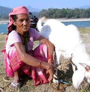 lady-and-goat
