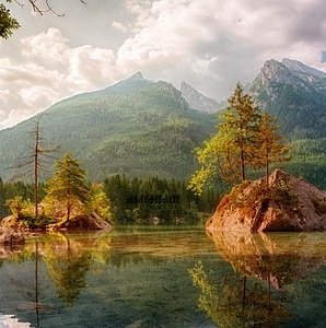 Rock-tree-water
