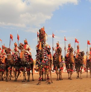 group-of-men-on-camel-Agenzia-di-viaggi-a-Jaisalmer-38