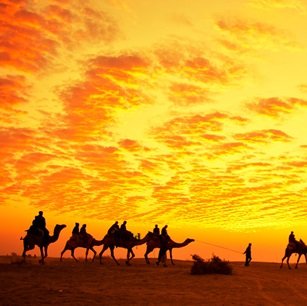 evening-view-desert-and-camels-Agenzia-di-viaggi-a-Jaisalmer-46