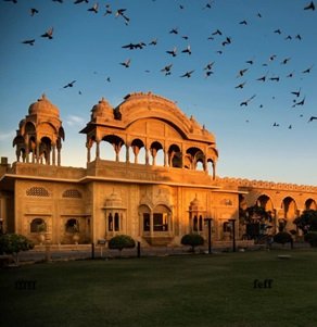 birds-on-forAgenzia-di-viaggi-a-Jaisalmer-59