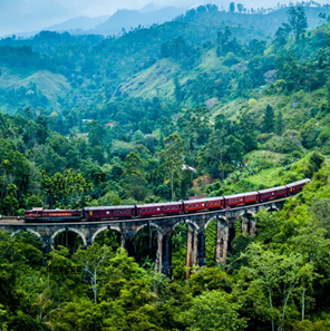 Train-passing-through-bridge