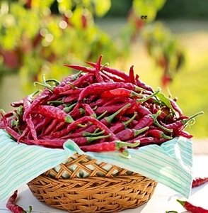 Lezioni-di-cucina-Indiana-106