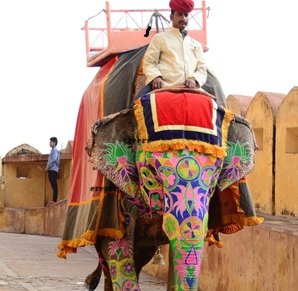 Viaggio-in-India-508