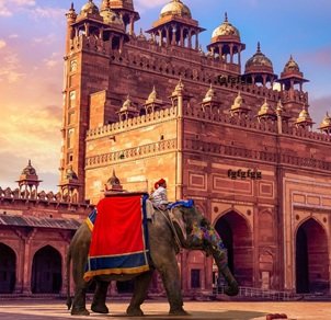 Viaggio-in-India-523