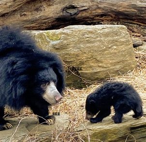 Viaggio-in-India-544