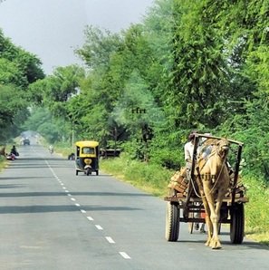 Camel-cart-with Auto-behind