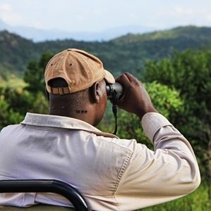 man-watching-animals