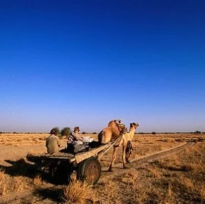 Agenzia-viaggi-in-India-4029