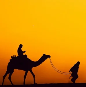 Agenzia-viaggi-in-India-40367