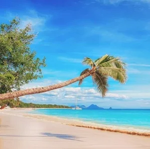 Agenzia-viaggi-in-India-40623