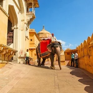 Agenzia-viaggi-in-India-410