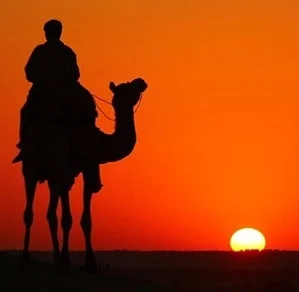 Agenzia-viaggi-in-India-56783