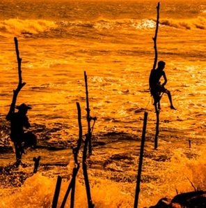 Viaggio-in-Sri-Lanka-457