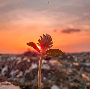 Viaggio-in-Sri-Lanka-459