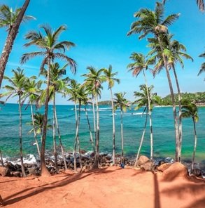 Viaggio-in-Sri-Lanka-468