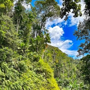 Viaggio-in-Sri-Lanka-473