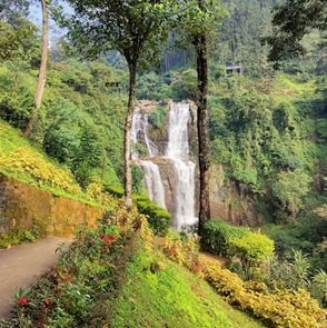 waterfall-track-jungle